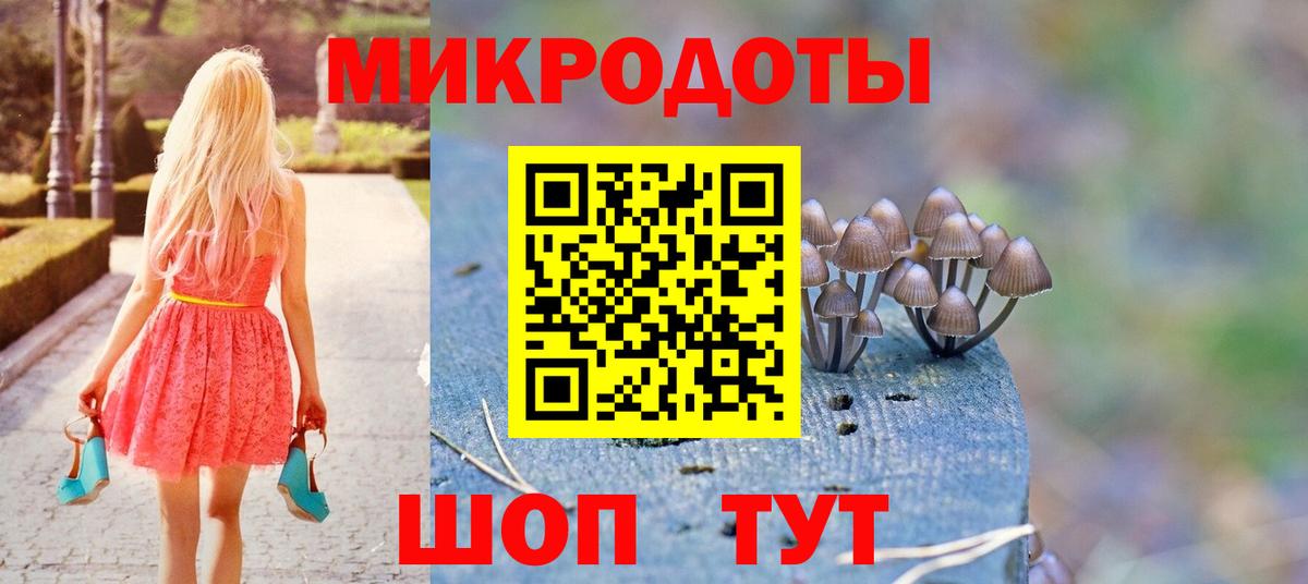 Галлюциногенные грибы Cubensis Орёл