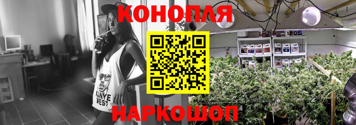 МАРИХУАНА планчик  Шишки марихуана план  Орёл  Вход с VPN  Марихуана White Widow 